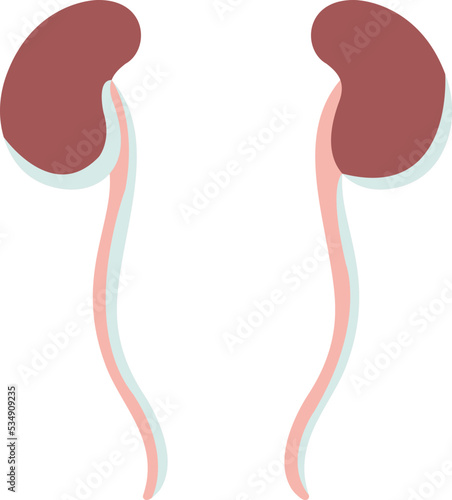 Ureter icon