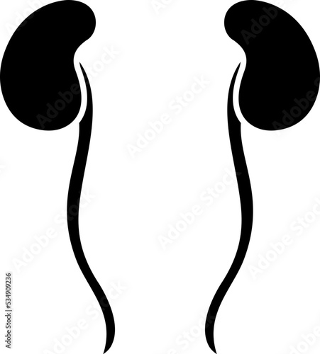Ureter icon