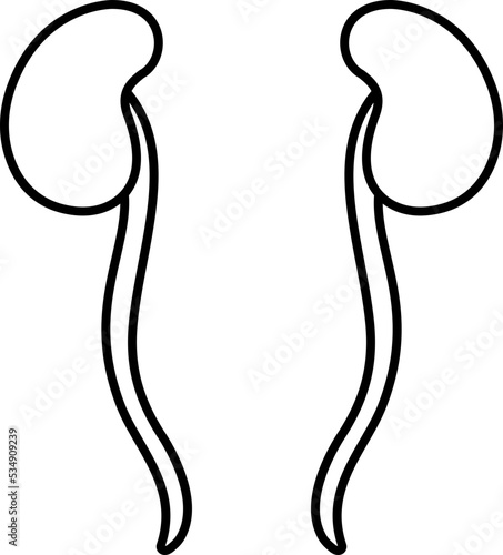 Ureter icon