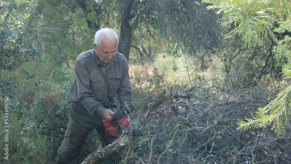 Hombre con motosierra cortando tronco de arbol para hacer leña de encina