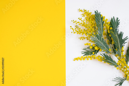 Flower arrangement. Mimosa flowers on a yellow background. Spring-summer concept. Flat lay  top view  copy space