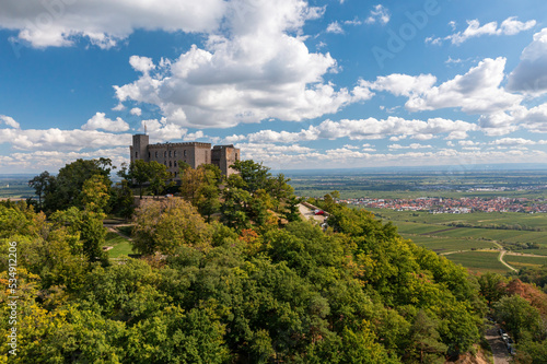Hambacher Schloß im Sommer