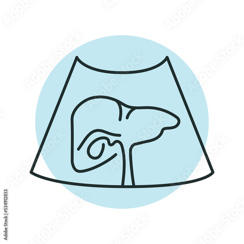 Ultrasound liver color line illustration