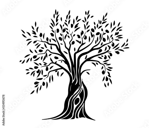 black tree silhouette isolated on white background