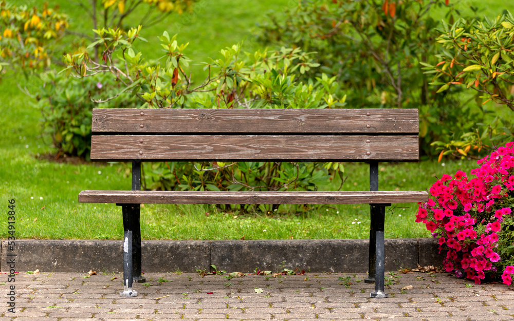 Wooden bench in public park with petunia flowers and rhododendrons Wooden bench in public park with petunia flowers and rhododendrons