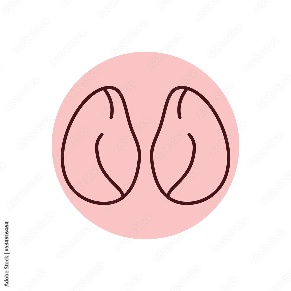 Chicken kidneys color line icon. Cutting meat. Chicken kidneys color line icon. Cutting meat.