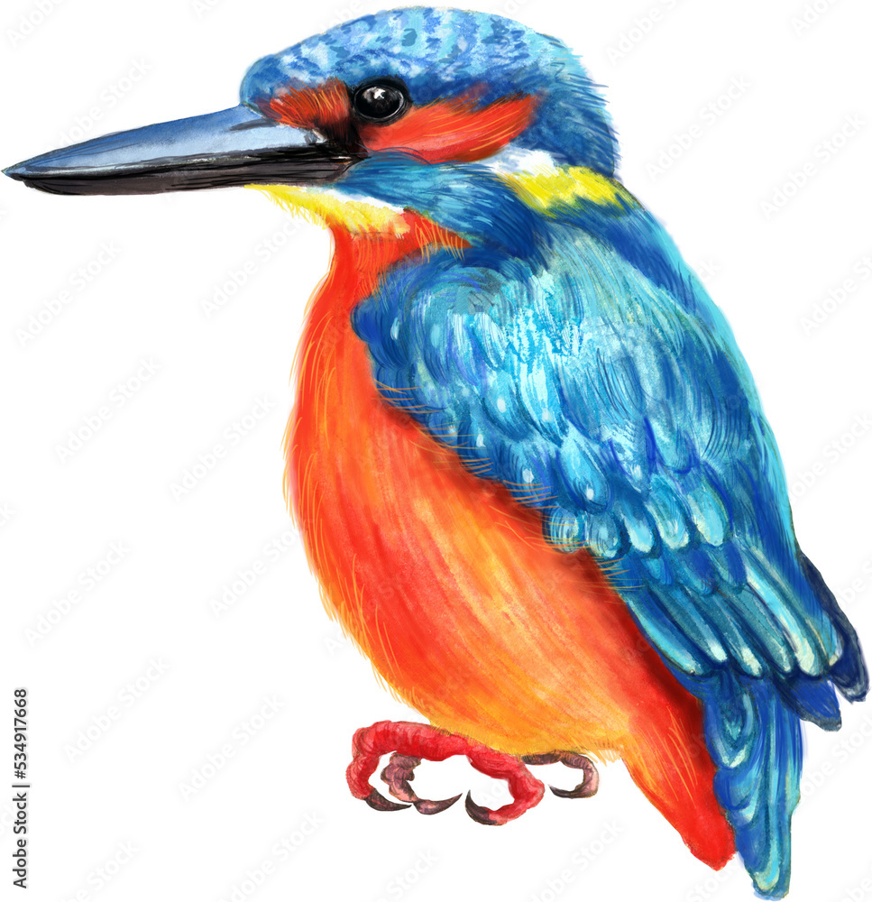 Obraz premium Watercolor tropical bird . Transparent layer.