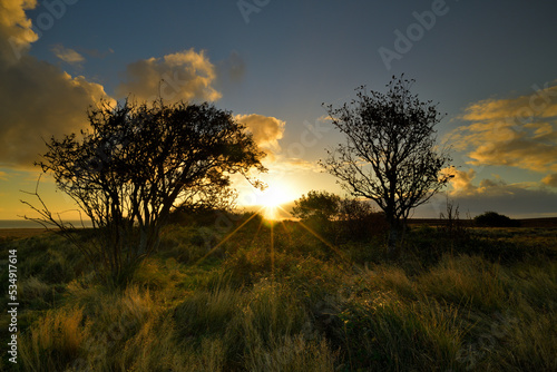 Die Sonne geht in der Heide von Braderup auf Sylt hinter den Dünen und Bäumen auf.