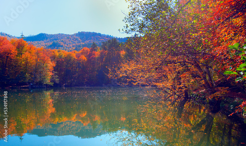 Fototapeta Naklejka Na Ścianę i Meble -  Autumn forest landscape reflection on the water with sun rays - Autumn landscape in (seven lakes) National park of  Yedigoller, Turkey