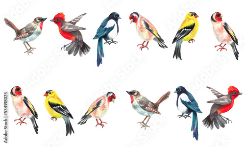  Watercolor border with birds. Transparent layer