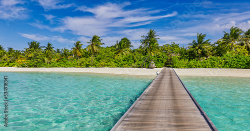 Beautiful tropical Maldives island relaxing scene blue sea, blue sky holiday vacation background. Wooden pathway, pier. Amazing summer travel concept. Ocean bay palm trees sandy beach. Exotic nature