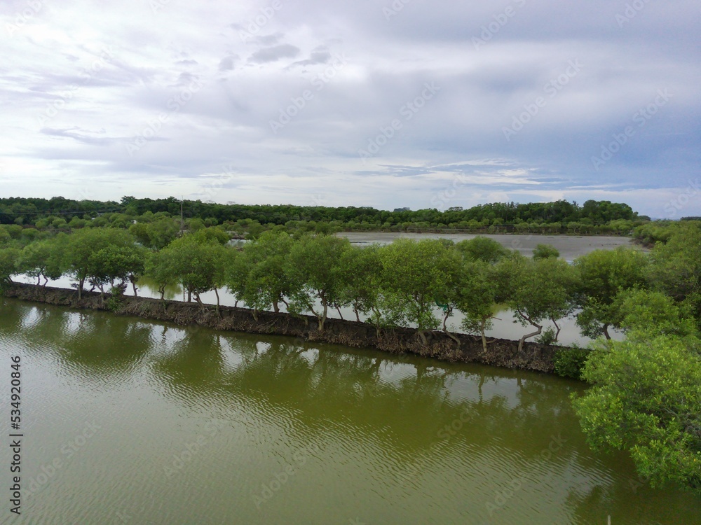 Mangrove ponds in Mengare Gresik East Java Indonesia Mangrove ponds in Mengare Gresik East Java Indonesia