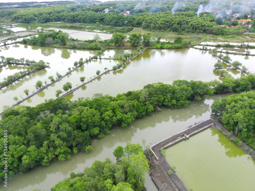Mangrove ponds in Mengare Gresik East Java Indonesia