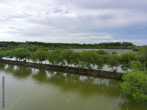 Mangrove ponds in Mengare Gresik East Java Indonesia photo