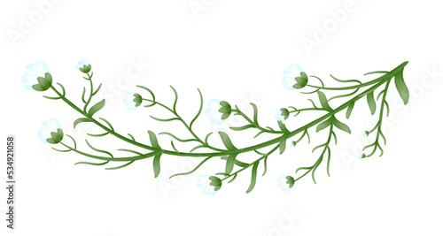 Watercolor Green Branch With Leaves And White Flowers. Element for wedding invitations, greeting cards. Transparent PNG clipart