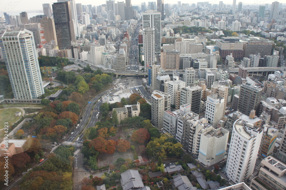 Obraz premium tokyo tower photo city