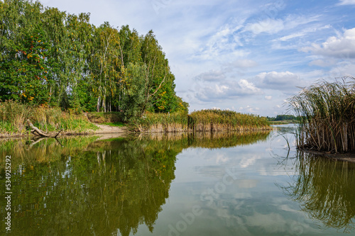 A beautiful autumn view of the Zdvij river. Ukraine