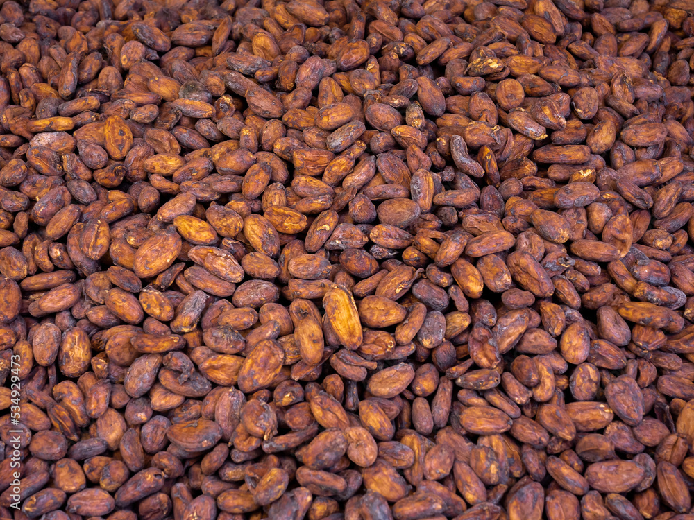 Cacao seed preparing to make chocolate. Close-up pile of raw materials of aromatic natural cocoa beans background. Cacao seed preparing to make chocolate. Close-up pile of raw materials of aromatic natural cocoa beans background.
