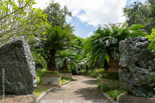 Beautiful curved path in the garden among palm trees and stones. Blue sky with big white clouds.