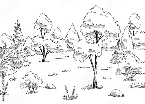 Forest glade graphic black white landscape sketch illustration vector 
