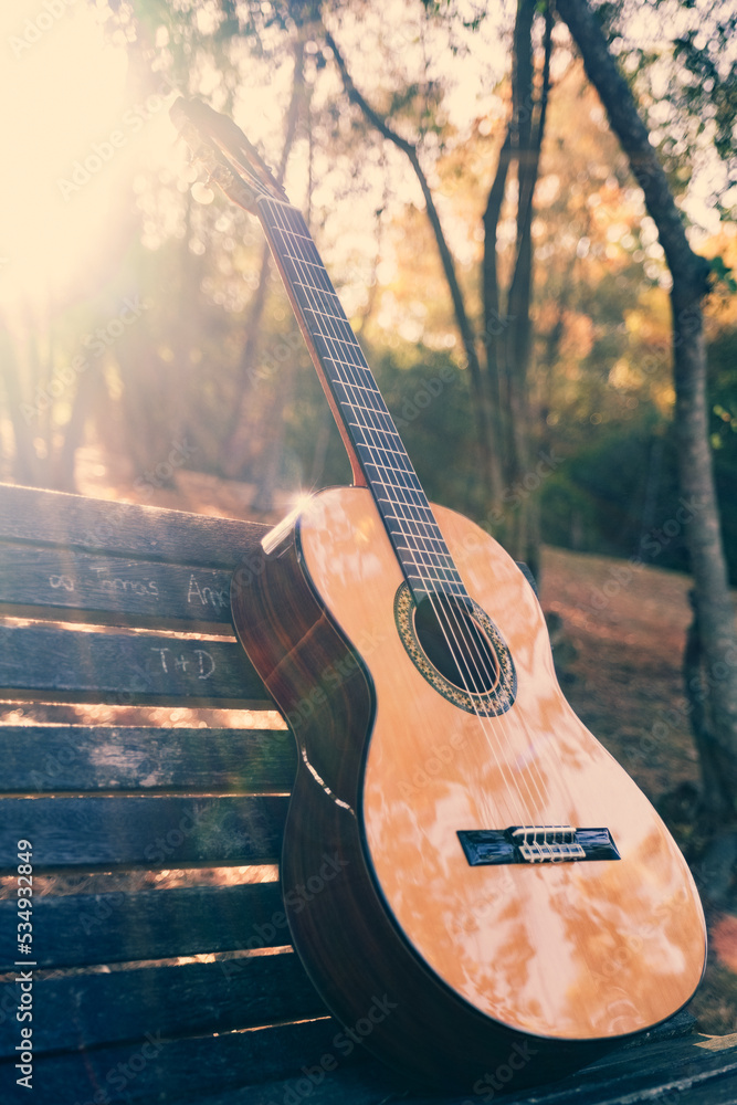 Beautiful classical guitar on a bench in the park with lens flare