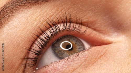 Fotografija A woman's eye with long black eyelashes after lamination