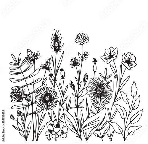 Black silhouettes of herbs, flowers and herbs isolated on a white background. Hand drawn sketch of wildflowers. Vector illustration.