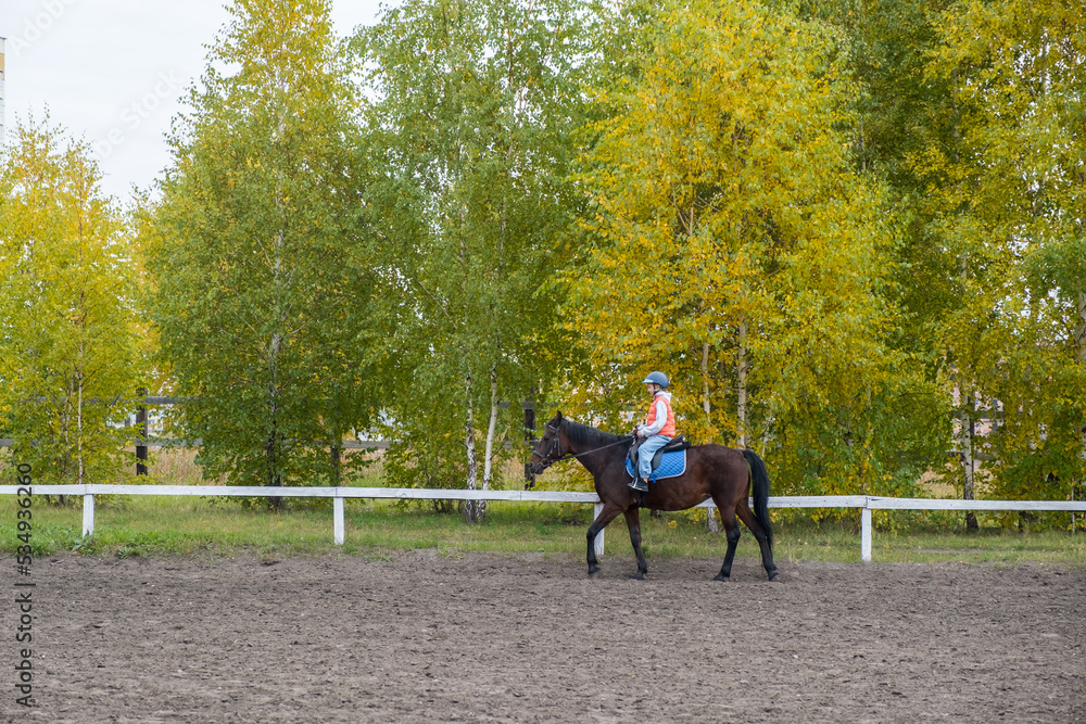girl learning to ride a horse girl learning to ride a horse
