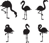 Collection of Flamingo black vector silhouette's