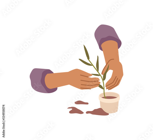 Houseplants potting and taking care of growing plants and flowers. Isolated hands holding botany. Gardening and tending garden. Vector in flat cartoon style