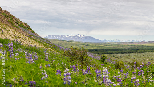 a panoramic view over the grassland and mountains at the region of Bláskógabyggð, iceland