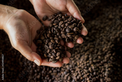Coffee beans in hand  coffee roasting. Selection is also delivered.