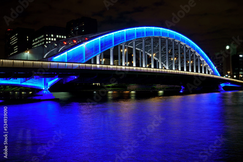 プルーのアーチが印象的な永代橋のライトアップ © Pirlo21