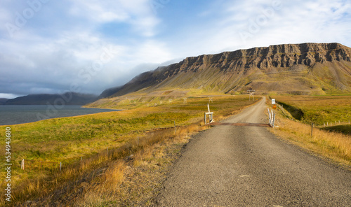 Eine Straße in Island im Herbst