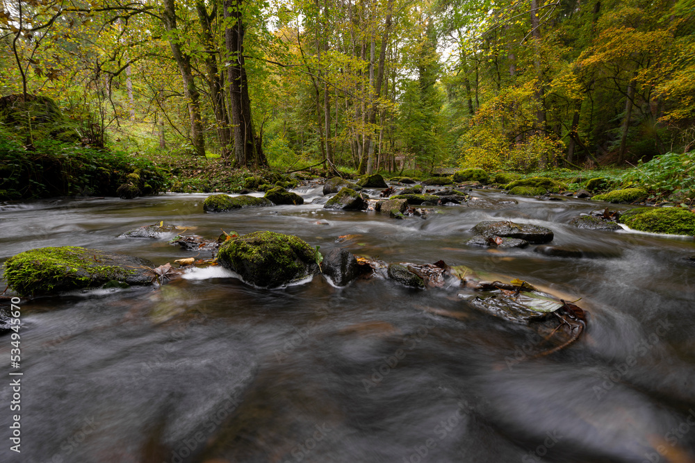beautiful South Bohemian landscape, little river Stropnice in Czech Republic, Europe beautiful South Bohemian landscape, little river Stropnice in Czech Republic, Europe