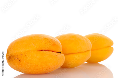 Three juicy pineapple apricots, close-up, isolated on white.