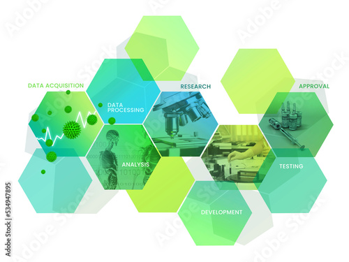 The phases of vaccine development (English version)