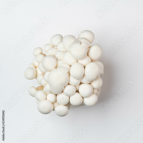 White shimeji mushroom on white background top view.