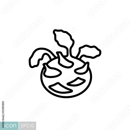 Kohlrabi or German Turnip isolated vector icon
