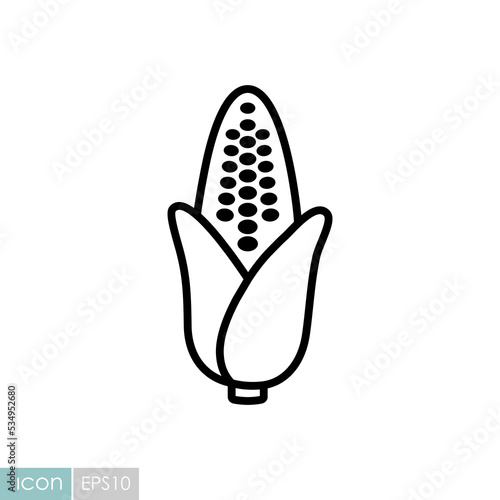 Corncob isolated vector icon. Vegetable sign