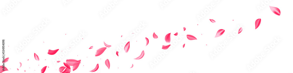 Beautiful Cherry Flying Vector White Panoramic Beautiful Cherry Flying Vector White Panoramic