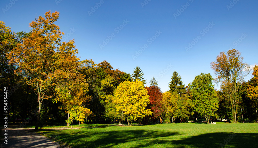 Autumn. Colorful leaves on the trees in the park. Selective focus.