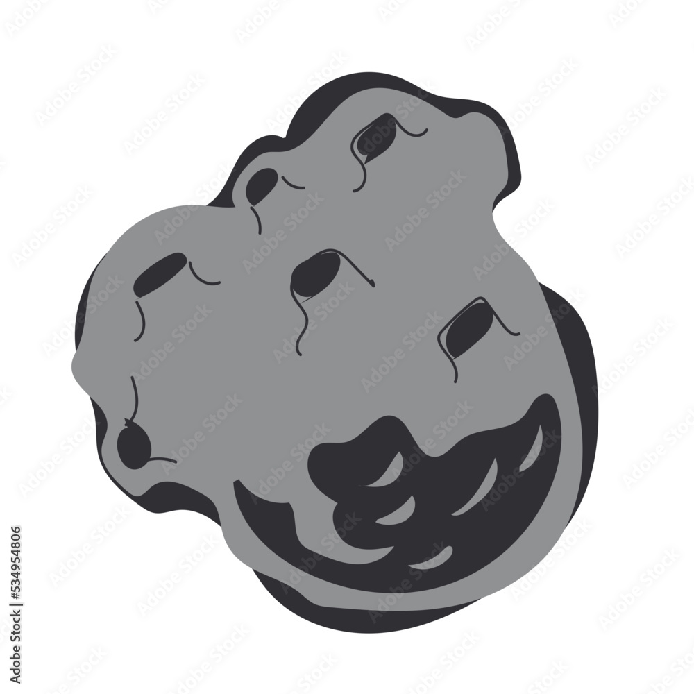 meteor rock from outer space meteor rock from outer space