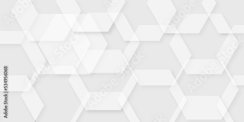 Abstract background with white and gray squares with hexagons design geometric design in illustration . White geometric texture . Modern background used about technology or product presentation . © Sajjad