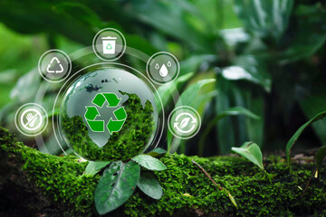 Zero waste,net zero concept. Carbon neutral. Climate neutral long term strategy. Sustainable business development. Reuse Reduce Recycle symbol.Conscious consumption. Waste management. Earth day banner