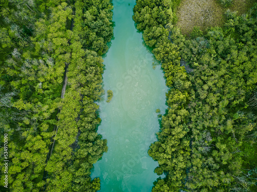 aerial drone view of river lake forest top down