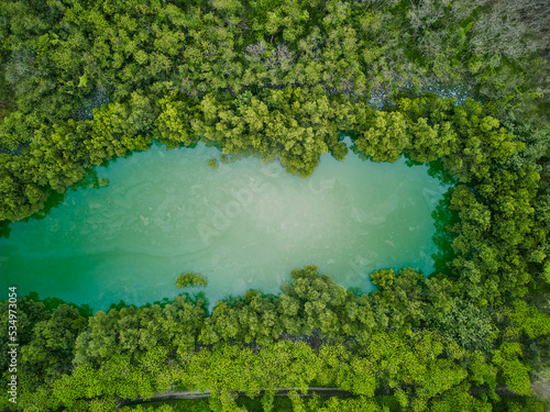 Fototapeta Naklejka Na Ścianę i Meble -  aerial drone view of river lake forest top down