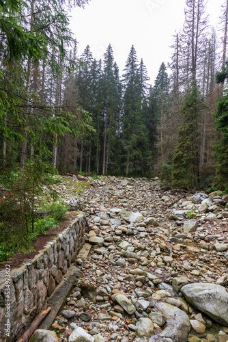 Wooden hiking trail in the middle of the mountain forest and surrounded by thick green forest and gray rocks