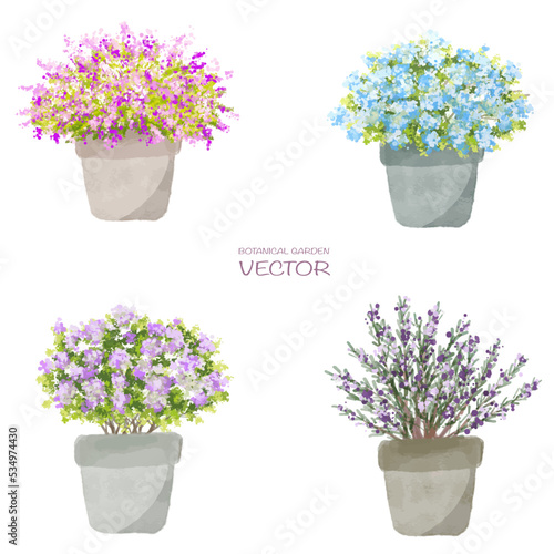 collage of flowers in a pot, Vector watercolor blooming flower side view isolated on white background for landscape and architecture drawing,elements for environment or and garden,botanical