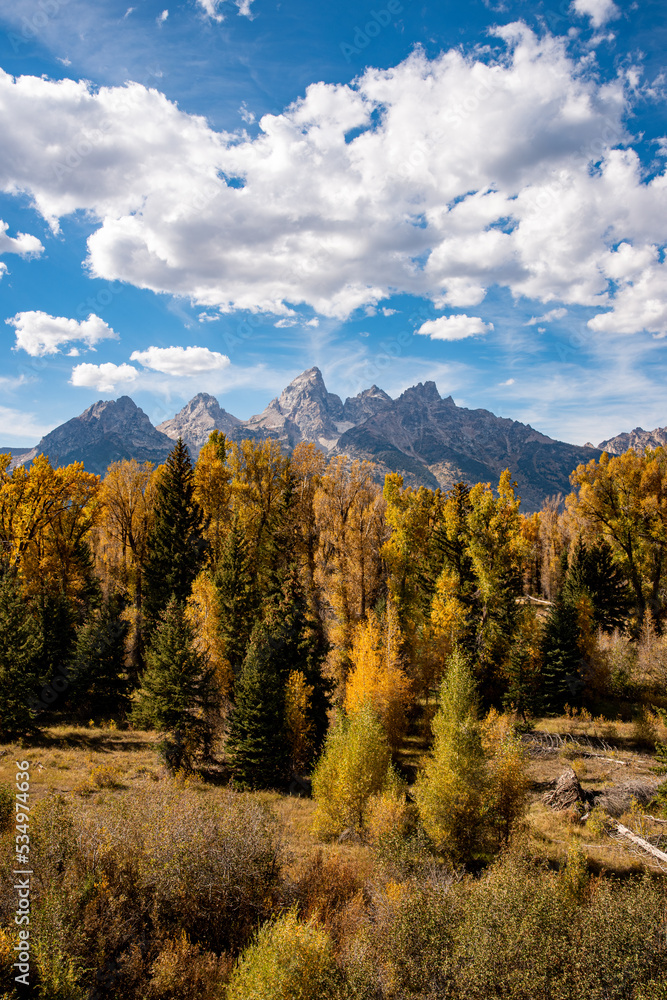 autumn landscape in the mountains